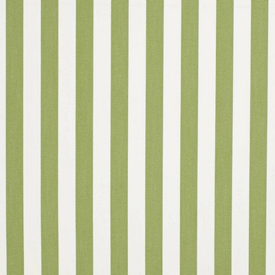 Charlotte Fabrics D3470 Tiki Lime