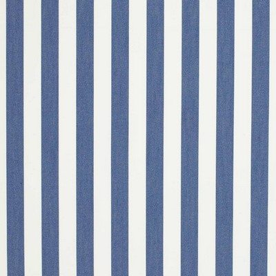 Charlotte Fabrics D3471 Tiki Nautical
