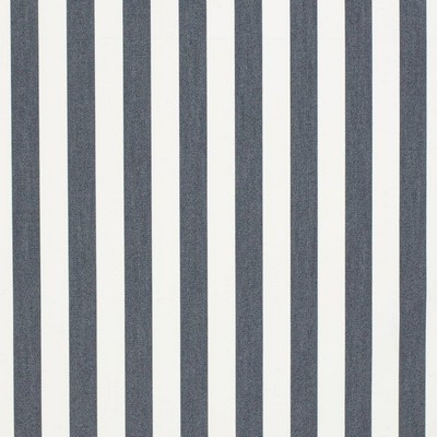 Charlotte Fabrics D3472 Tiki Navy