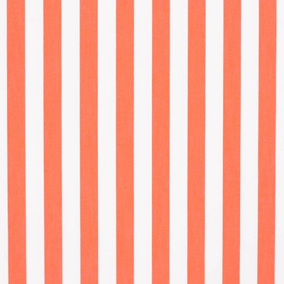 Charlotte Fabrics D3473 Tiki Mandarin