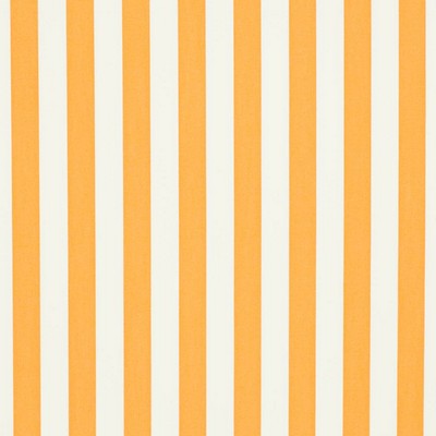 Charlotte Fabrics D3476 Tiki Sunshine