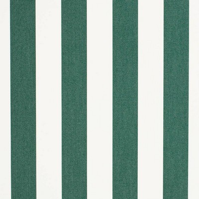 D3482 Cabana Forest Charlotte Fabrics D3482 Cabana Forest