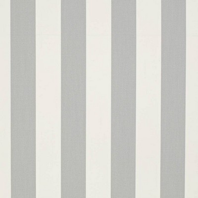 Charlotte Fabrics D3484 Cabana Seagull