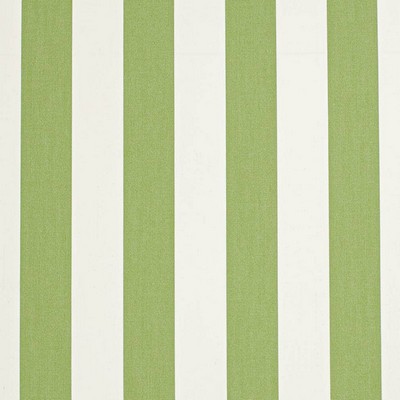 Charlotte Fabrics D3485 Cabana Lime