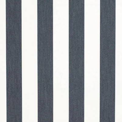 Charlotte Fabrics D3487 Cabana Navy