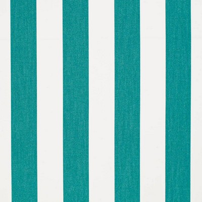 Charlotte Fabrics D3490 Cabana Peacock