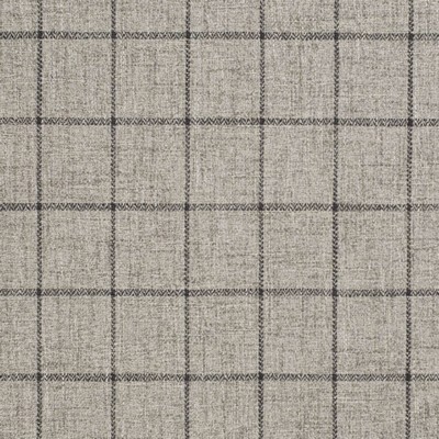 Charlotte Fabrics D3499 Granite