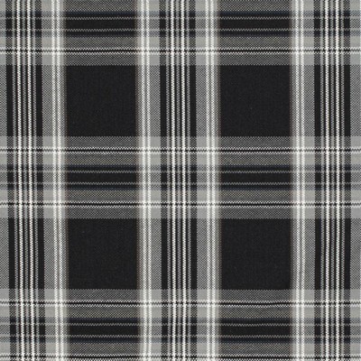 Charlotte Fabrics D3506 Ebony