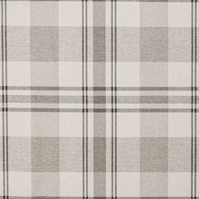 Charlotte Fabrics D3508 Linen