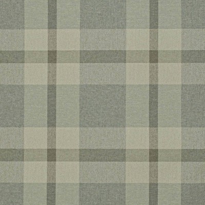 Charlotte Fabrics D3515 Sage