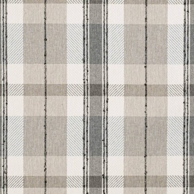 Charlotte Fabrics D3529 Cinder