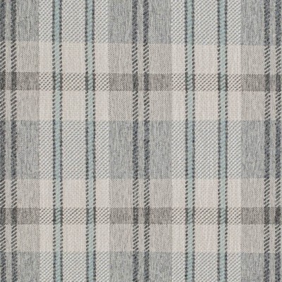 Charlotte Fabrics D3539 Storm