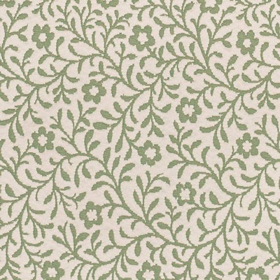 Charlotte Fabrics D3596 Green Petite