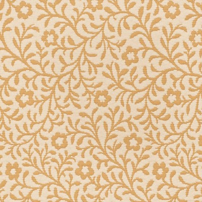 Charlotte Fabrics D3598 Honey Petite