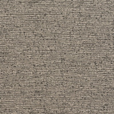 Charlotte Fabrics D359 Slate