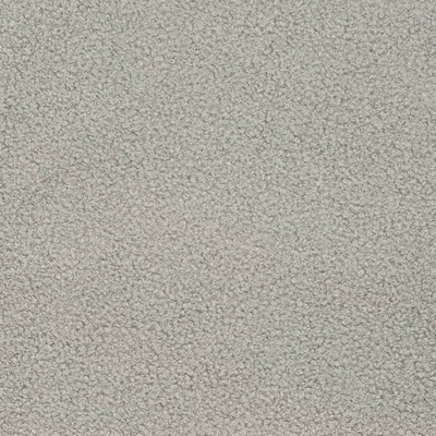 Charlotte Fabrics D3616 Grey