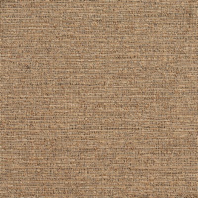 Charlotte Fabrics D361 Driftwood