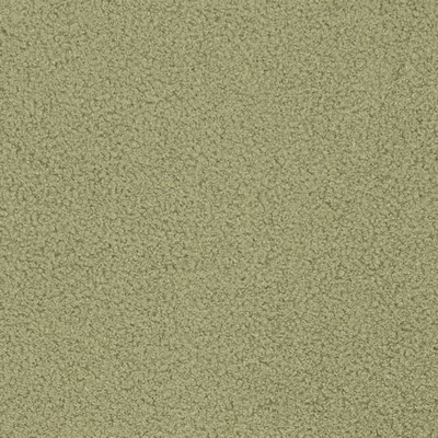 Charlotte Fabrics D3620 Sage
