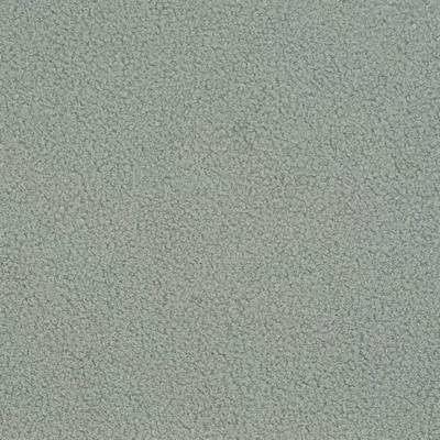 Charlotte Fabrics D3621 Slate