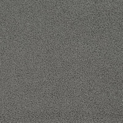 Charlotte Fabrics D3622 Steel