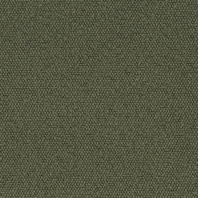 Charlotte Fabrics D3628 Olive