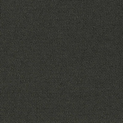 Charlotte Fabrics D3630 Coal