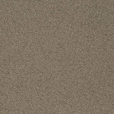 Charlotte Fabrics D3634 Latte