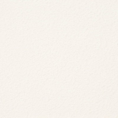 Charlotte Fabrics D3638 Snow