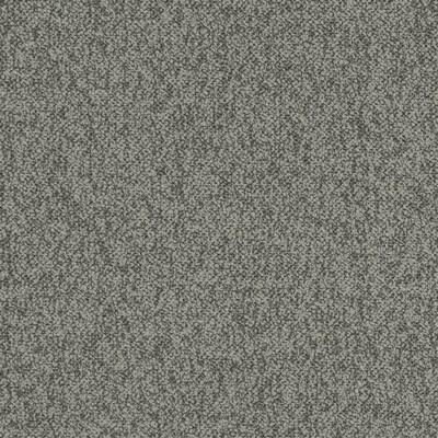 Charlotte Fabrics D3659 Fossil