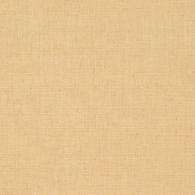 Charlotte Fabrics D3678 Maize