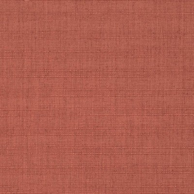 Charlotte Fabrics D3679 Salsa
