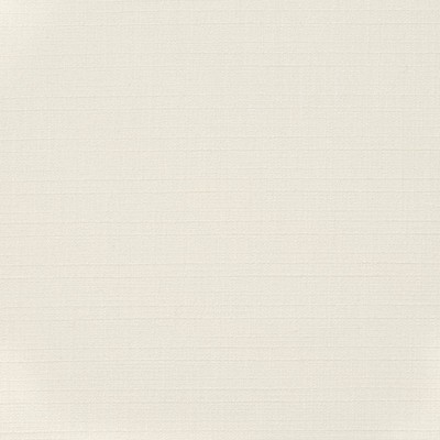 Charlotte Fabrics D3681 Snow