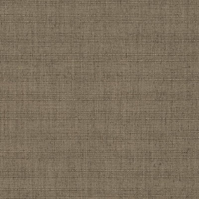 Charlotte Fabrics D3682 Cedar