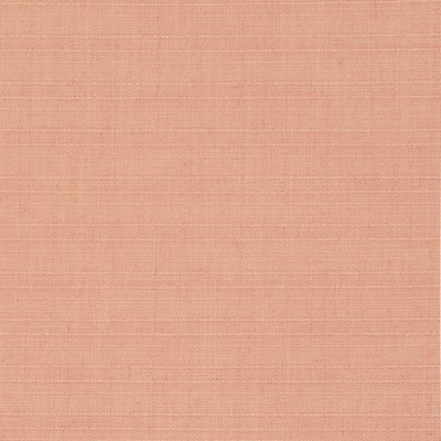 Charlotte Fabrics D3703 Peach