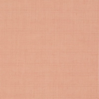 Charlotte Fabrics D3703 Peach
