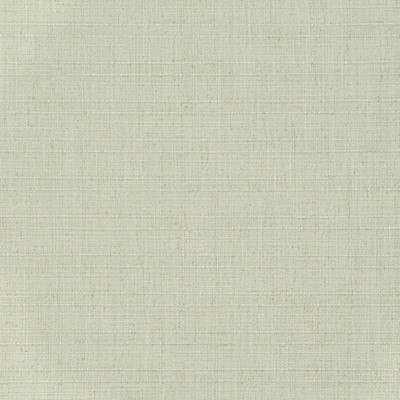 Charlotte Fabrics D3709 Mint