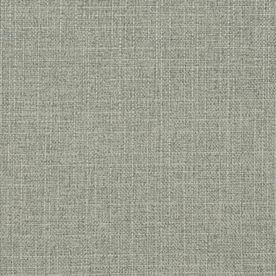 Charlotte Fabrics D3716 Chambray