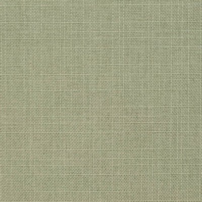Charlotte Fabrics D3738 Sage