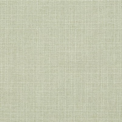 Charlotte Fabrics D3743 Spray