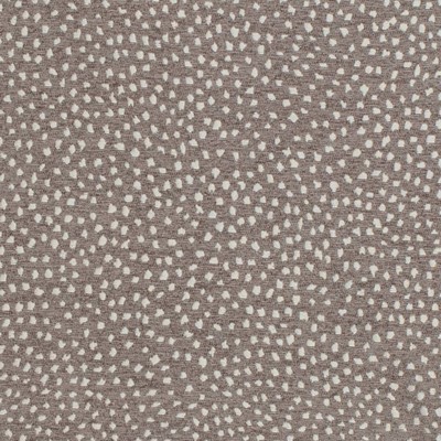 Charlotte Fabrics D3761 Greystone