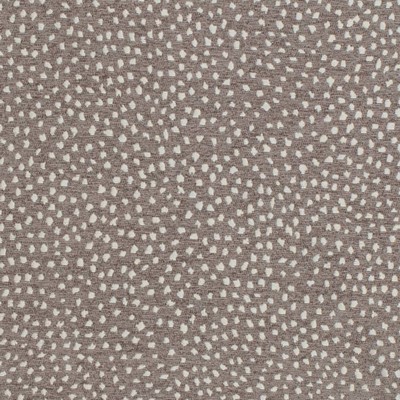 Charlotte Fabrics D3761 Greystone