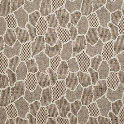 Charlotte Fabrics D3782 Bark
