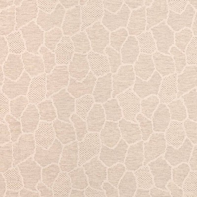 Charlotte Fabrics D3783 Linen