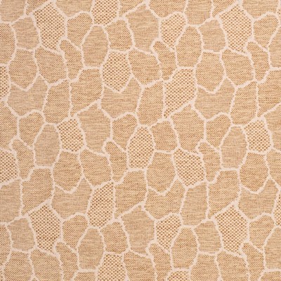 Charlotte Fabrics D3784 Topaz