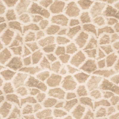 Charlotte Fabrics D3785 Buff