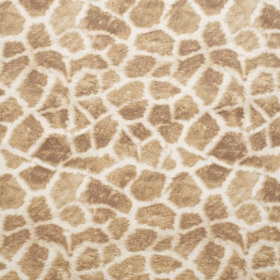 Charlotte Fabrics D3786 Bronze