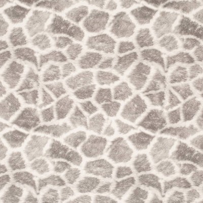 Charlotte Fabrics D3787 Stone