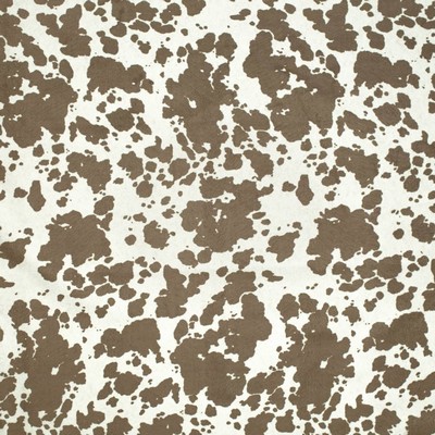 Charlotte Fabrics D3792 Coffee