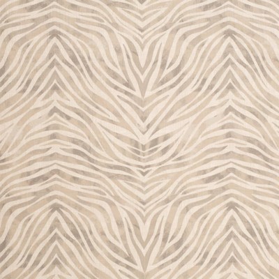 Charlotte Fabrics D3800 Dove
