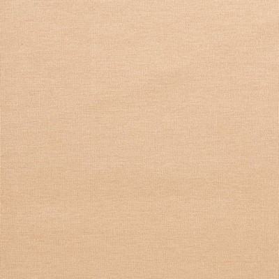 Charlotte Fabrics D3822 Sand